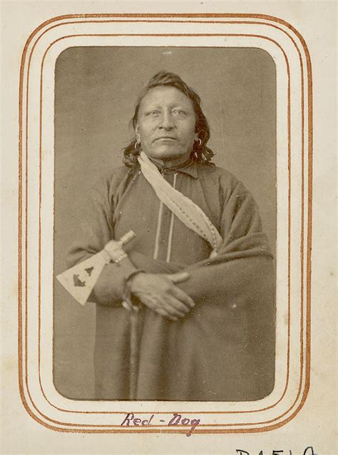 Red Dog Old Photos Oglala Sioux Research Dakota Lakota