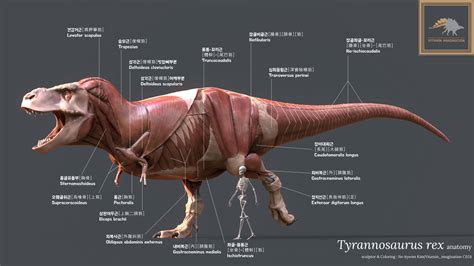 Scientific Dinosaur Anatomy Zbrushcentral