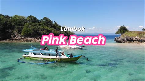 Pink Beach In Lombok Tour Pink Beach Snorkeling And Hooping Island