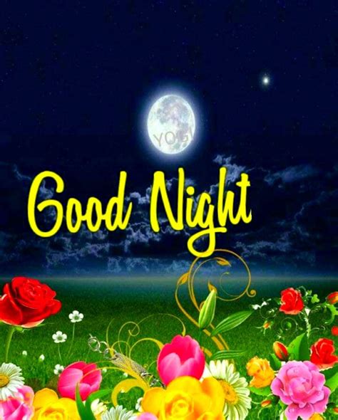 Good night Saved by SRIRAM | Good night sweet dreams, Good night, Good morning good night