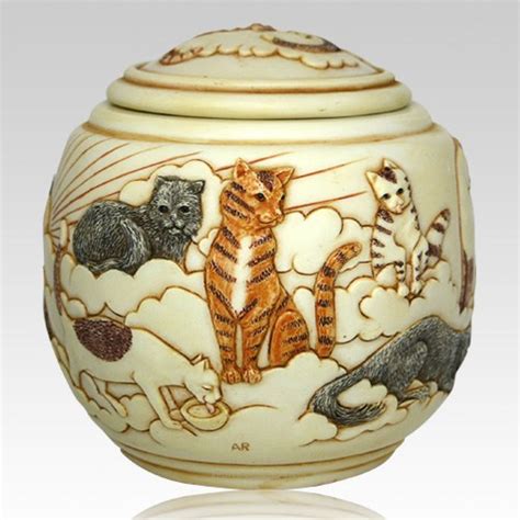 Following are descriptions of some popular types of pet the most popular designs include dog or cat in baskets, figurines of varying breeds as well as garden rocks. Cat Cremation Urn