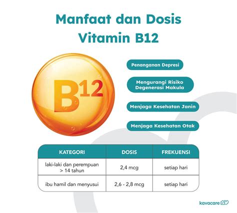 Vitamin B12 Manfaat Dosis Dan Sumber Terbaik