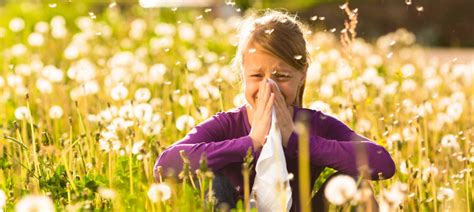 🌍 Lallergie Au Pollen Une Des Allergies Les Plus Connues