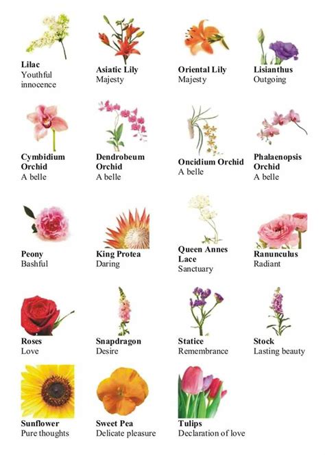 Helene Fleischer List Of Flowers And Meanings Types Of Flowers List
