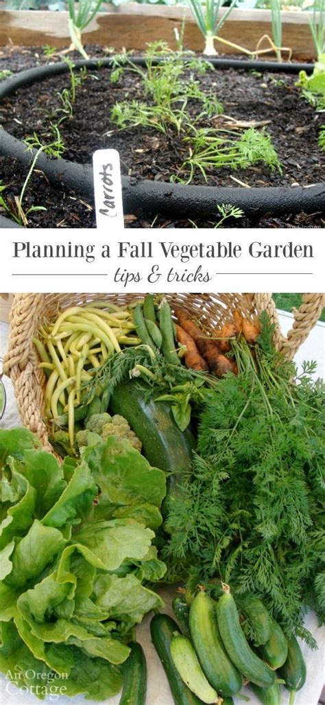 Tips To Plan And Plant A Fall Vegetable Garden An Oregon Cottage