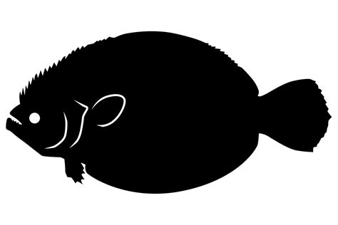 Flounder Silhouette Graphic By Idrawsilhouettes · Creative Fabrica