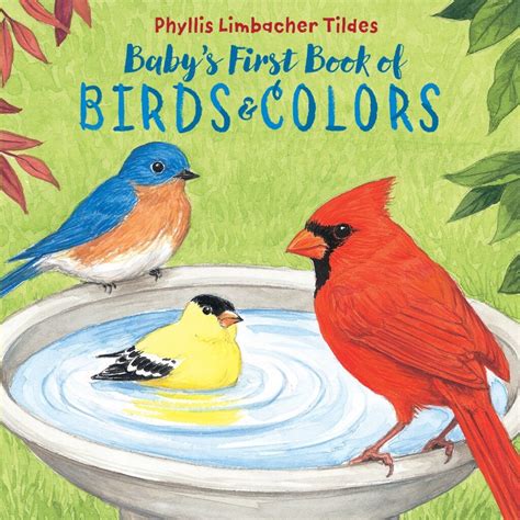 10 Must Read Bird Books For Kids Montessori Academy