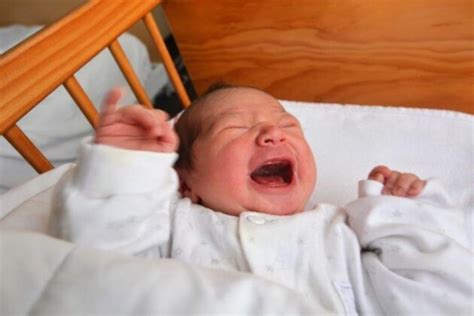 Webinar ‘wat Vertelt Een Huilende Baby Vakblad Vroeg