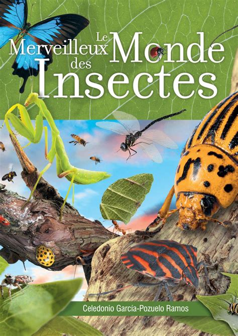 Le Merveilleux Monde Des Insectes By Safeliz Issuu