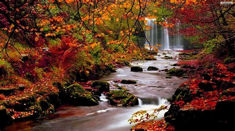 Fall Images Youwall Autumn Forest Waterfall Wallpaper
