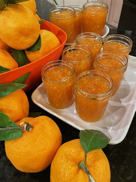 Satsuma Mandarin Orange Marmalade Hot Sweet Spicy Recipes