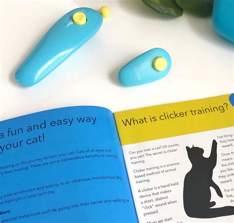 Buy Cat School Clicker Training Kit For Cats 1 Cat Training Clicker