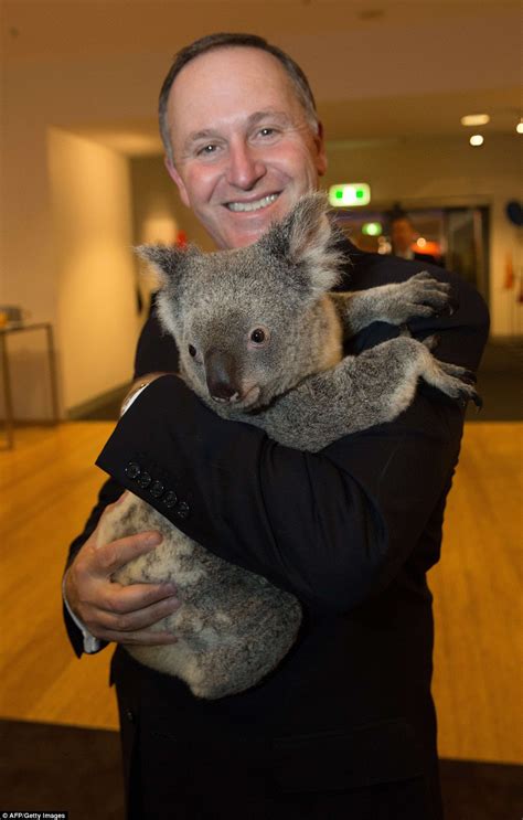 Otters And Science News Koala Diplomacy In Australia Nothing Like A Cuddly Koala To Break The