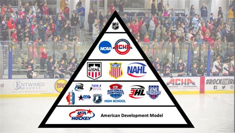 The Hierarchy Of Hockey