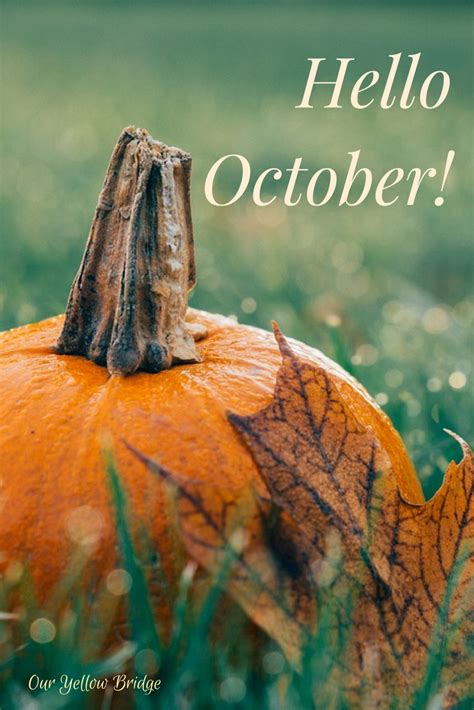 Hello October Pumpkins Crunchy Leaves Cooler Evenings And Beautiful