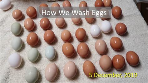 How We Wash Eggs Youtube