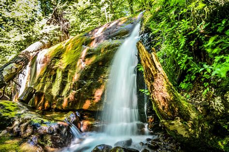 Canada Forest Jungle River Rocks Stones Waterfalls Wallpapers Hd