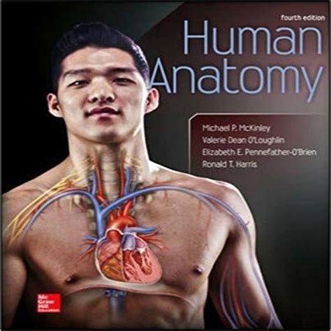 Human Anatomy 4th Edition By Mckinley Oloughlin Obrien Harris Solution