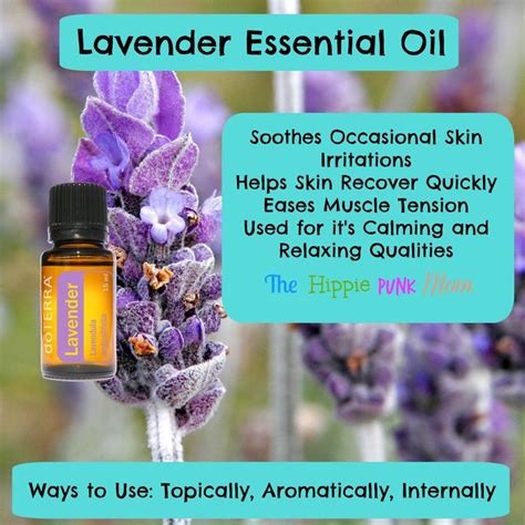 Lavender Essential Oil And Uses Lavender Essential Oil Essential Oils Oils