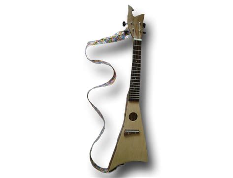 Pin on Home Grown Instruments - Gourd Stringed Instruments