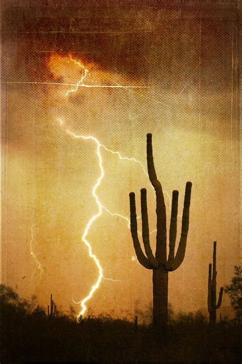 Az Saguaro Lightning Storm V Photograph By James Bo Insogna Fine Art