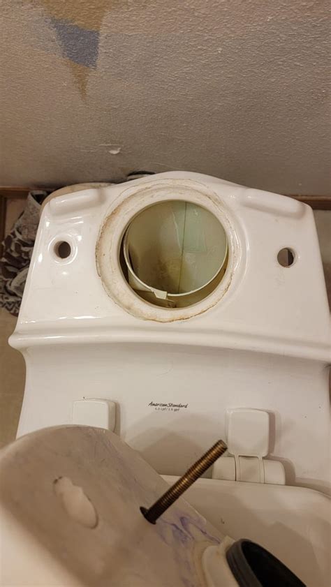 What The Hell Is This Plastic Insert Inside My American Standard Toilet