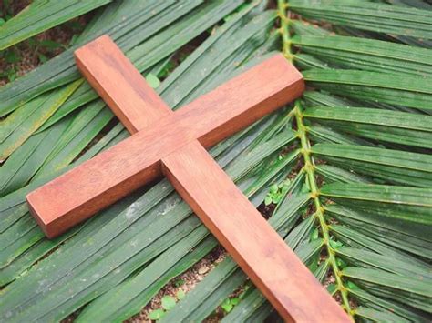 6 Things You Didnt Know About Palm Sunday Facts About Palm Sunday