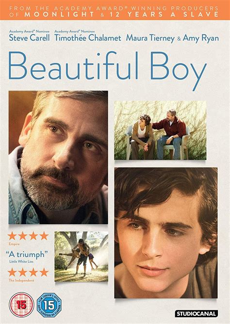 Beautiful Boy Blu Ray 2019 Uk Steve Carrell Timothée
