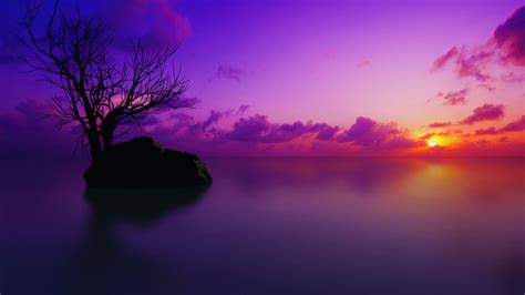 Maldives Wallpaper 4k Sunset Lone Tree Purple Sky