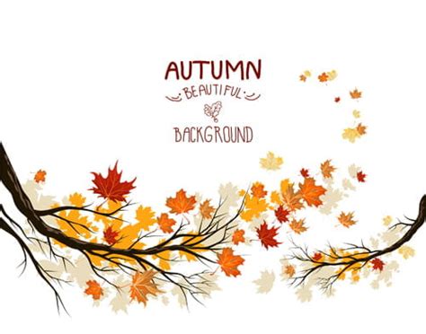Bright Autumn Leaf Backgrounds Vector Set Ai Eps Uidownload