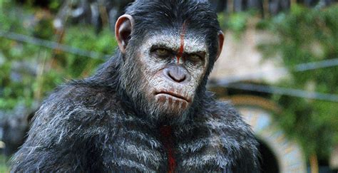 15 видео 16 246 просмотров обновлен 28 сент. Planeta dos Macacos: A Guerra | Confira novo trailer da aventura de Cesar