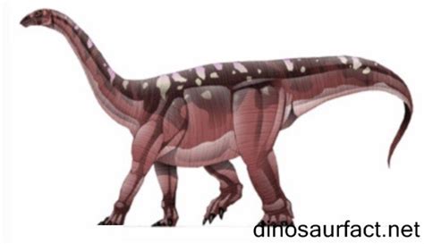 Blikanasaurus Pictures And Facts The Dinosaur Database