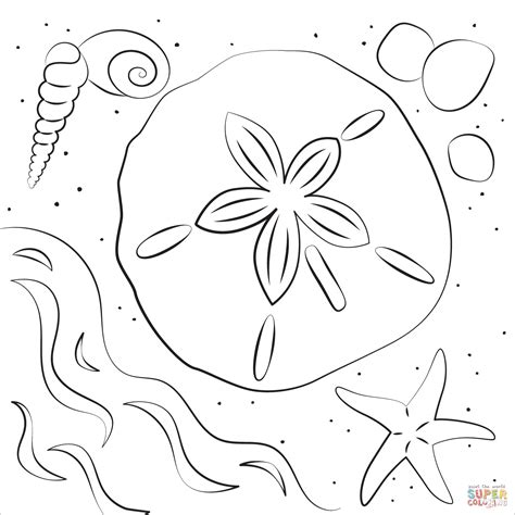 Sand Dollar Coloring Pages Coloring Home