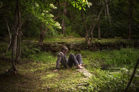 Man Sitting On Field In Forest Stock Photo