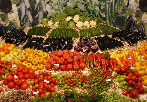 Где искать фермерские ярмарки 19-24 ноября - Киев Vgorode.ua