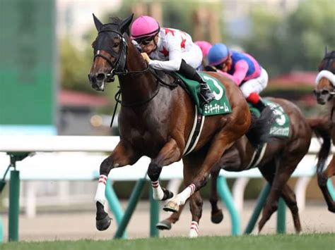 Последние твиты от ケイン・ヤリスギ「♂」 (@kein_yarisugi). クイーンステークス 2019【回顧】ミッキーチャームには感謝 ...