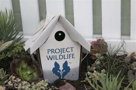 Project Wildlife San Diego Humane Society