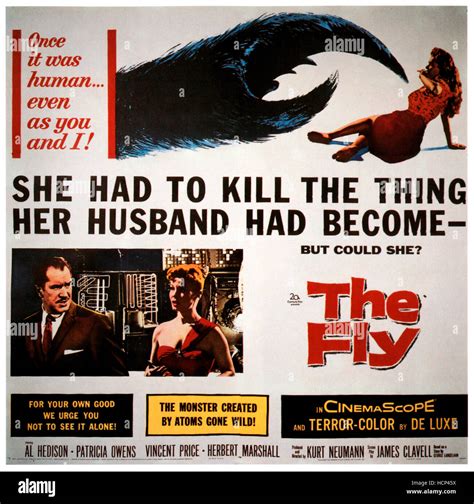 The Fly Vincent Price Patricia Owens 1958 Tm And Copyright ©20th