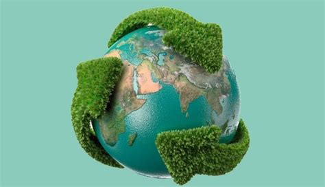 Saiba Mais Sobre O Que é Sustentabilidade Ciclo Orgânico