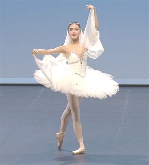 Ballet Tutu Dresses Adults Professional Gymnastics Leotard Swan Lake