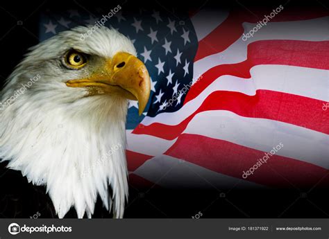 Red silhouette of eagle isolated on black background. American Symbol Usa Flag Eagle Black Background — Stock ...