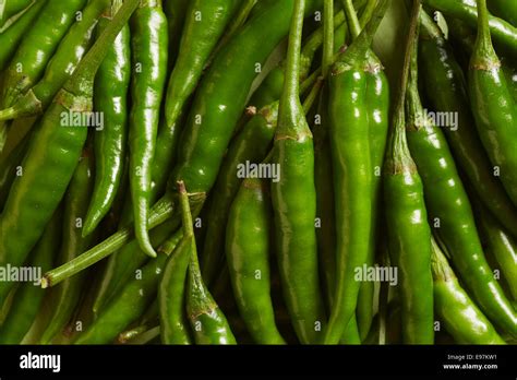 Fresh Small Green Hot Peppers Stock Photo Alamy