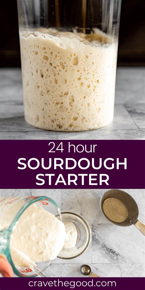 Quick And Easy Sourdough Starter Artisan Bread Recipes Sour Dough Bread Starter Recipe