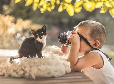 Photo Kittens Cats Camera Photographer Children Animal