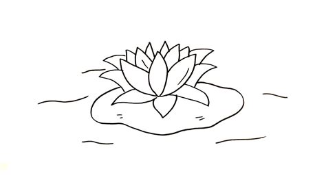 Yup, tanaman yang memiliki daun hijau ini sering kita temukan di kolam, danau, atau perairan yang tenang. Menggambar & Mewarnai Bunga Teratai Lotus Mudah untuk Anak ...