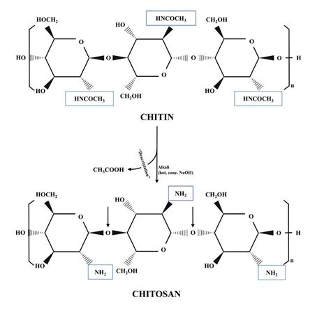 Chemical Structure Of Chitin And Chitosan Chitosan Production From Chitin Download