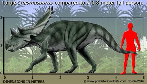 Top 10 Ceratopsian Dinosaurs