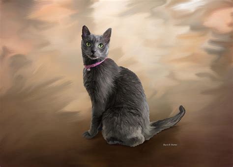 Russian Blue Cat Painting By Angela Stanton