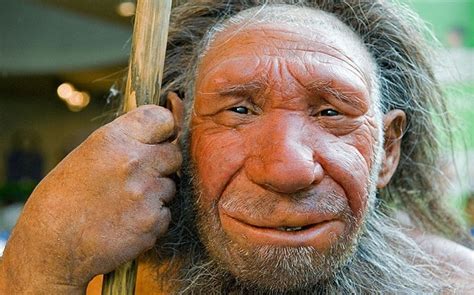 Neanderthals And Modern Humans Mated 100 000 Years Ago