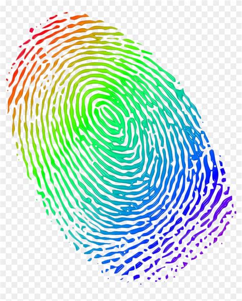 Fingerprint Colorful Png Fingerprint Png Free Transparent Png